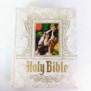 Holy Bible Family Bible Large Format Red Letter Colour Illustrated Gold Edge - Picture 1 of 13