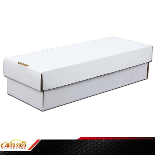 BCW Sports Trading Card Toploaders & Holders BCW Graded Shoe Box Storage |  Holds 300+ Toploaders Or 100 Graded Trading Cards BCW Graded Card Box