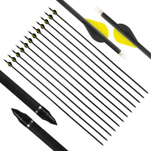 12pc 31" 100% Carbon Arrow Nocks Spine 300 - 400 Compound Recurve Bow Specialize - Picture 1 of 10