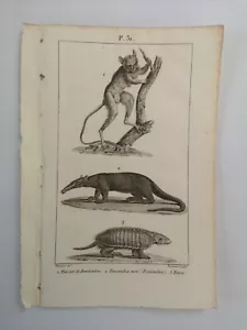 BRETT / GRAVUR von 1816 - SÄUGETIERE / AMEISENHAUFEN / TATTOO (P31) - Bild 1 von 2