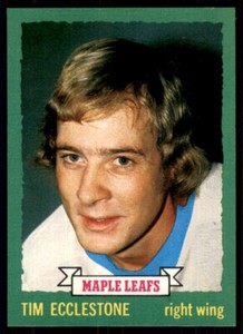 1973-74 O-Pee-Chee Light Backs Tim Ecclestone Toronto Maple Leafs #144