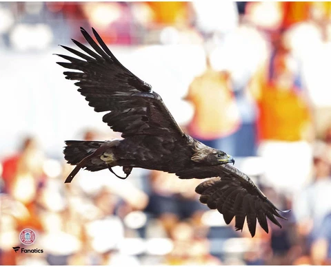 Auburn Tigers Unsigned War Eagle Flying 8" x 10" Photo - Fanatics Cover