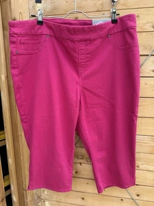 Chico’s Denim Pull On Jegging Caprihose Haute Pink 3,5 /18 Neu mit Etikett - Bild 1 von 5
