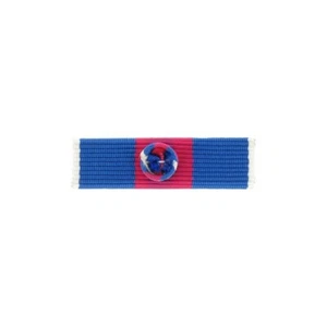DIXMUDE SMV Or Barrette Services Militaires Volontaires Épingles - Picture 1 of 1