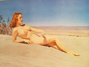 Vintage Erotik Lithographie Druck Künstlerischer Akt Foto Pin Up 22 x 17 - Bild 1 von 8