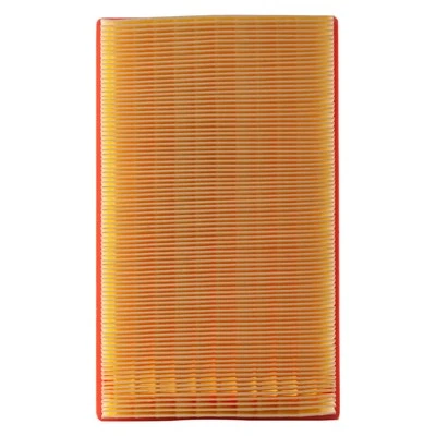 For Jaguar XKR 2000-2006 Premium Guard Panel Air Filter - Изображение 1 из 3