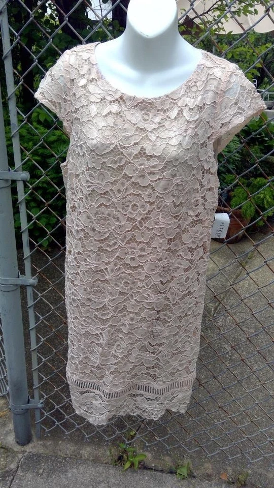 Perceptions Beige Lace Knee Length Dress Size Petite XL NWT Foto 1 de 1