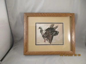 Joanne Graham Art Labrador cane da caccia numerato firmato anatra 32/300 incorniciato - Foto 1 di 3