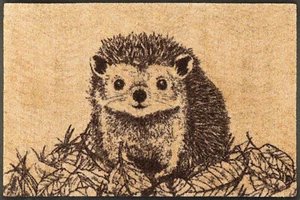 Ab Lager Fußmatte wash+dry Hedgy ca.50x75cm waschbar Kleen Tex Igel - Bild 1 von 6