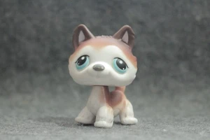 Auténtico perro Husky Littlest Pet Shop LPS blanco marrón #68 - Imagen 1 de 3