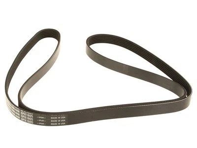 Cinturón multi costilla para Jeep Comanche 1991-1992 37517NCHT 2,5 L 4 cilindros Foto 1 de 2