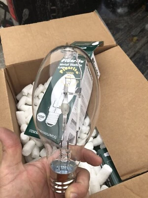 Plusrite 100w ED28 commercial light bulbs - Image 1 of 4