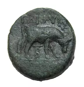 MACEDONIA, PIEL. AE 20. BAJO REGLA ROMANA. APROX. 146 BC. ATENA/TORO. - Imagen 1 de 5