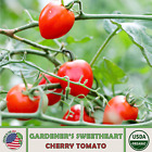10 Gardener's Sweetheart Cherry Tomato Seeds, Organic, Non-gmo, Genuine Usa