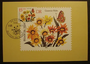 DDR 1982:Maximumkarte MK maximum "Herbstblumen Gazania Mittagsgold" MN 2739 - Bild 1 von 1
