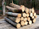 10lbs North Carolina Fatwood Sticks, natural Pine Fire Starter, Lighter Knot