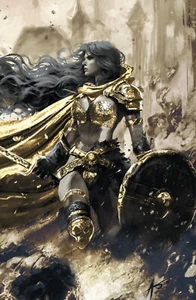 RED SONJA NOIR #1 - RUDY AO VIRGIN VARIANTE COPERTINA AVVOLGENTE B HEROESCON ESCLUSIVA - Foto 1 di 4