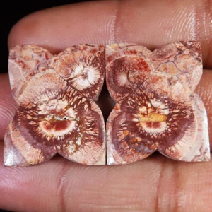 51.85 CT Natural Bird Eye Jasper Pair Cabochon 20x26x4 mm Jasper Gemstone CC11 - Picture 1 of 7