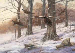 Paquete de 10 tarjetas de Navidad Faisanes 'A Burst of Winter' de John Trickett C690X - Imagen 1 de 2