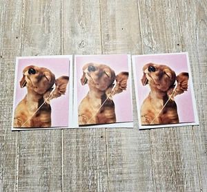 Lote de 3 tarjetas de notas en blanco American Greetings 4x5 auriculares rosa brillo perro - Imagen 1 de 8