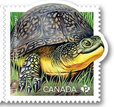 2019 Canada 📭 ENDANGERED TURTLES 🐢 BLANDING TURTLE  🐢MNH Stamp from Booklet📬