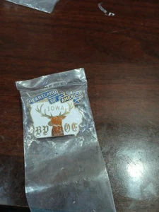 Iowa BPOE ELKS PIN - Picture 1 of 1