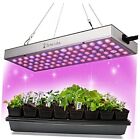LED Grow Lights for Seed Starting - Germinate Seeds Fast 10x5 Red, Blue, White
