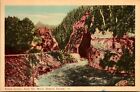 Sault Ste Marie Ontario Canada Agawa Canyon Vintage Postcard