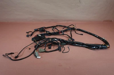 Harley Davidson Road King 1999-2006 FLHRI arnés de cable principal telar de cableado Foto 1 de 4