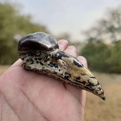 Cristal calavera pájaro tallado a mano - decoración curativa mineral natural para altar del hogar Foto 1 de 4