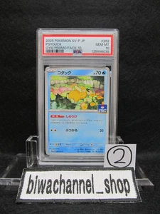 PSA 10 | 2025 Pokemon Karte Psyduck 262/SV-P Gym Promo Pack 10 Japanese Limited 2 - Bild 1 von 6