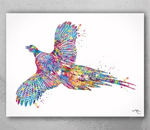 Faisán acuarela estampado de faisán vida silvestre británica granja caza animales decoración-2773 - Imagen 1 de 3