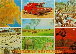 Grenfell NSW Pastoral Australia Postcard. Vintage 80s Old Multi View Generic - Picture 1 of 2
