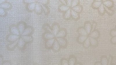 "Daisy Days" fabric by Lynette Jensen for Thimbleberries ( 2 pieces) - OOP Rare - Image 1 of 3