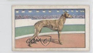 1934 Gallaher Champions Tobacco Red Text Future Cutlet #42 1md