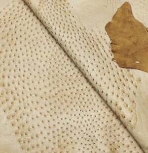 Ostrich skin Leather Antique Saddle Rio Grande - Picture 1 of 3