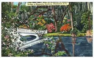 Ponte nei giardini di Magnolia Charleston Carolina del Sud cartolina d'epoca in lino - Foto 1 di 2