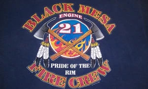 RARA T-shirt Arizona 2005 nera Mesa Fire Crew grafica nativi americani uomo L - Foto 1 di 10