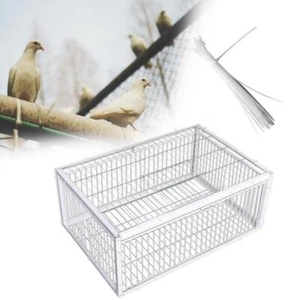 Pigeon Trap Cage Large 40x30x26cm Bird Trap Cage for Garages Orchards Farms - Picture 1 of 19