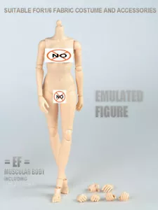 Cuerpo de piel pálida pecho grande 1/6 femenino medio sin costuras flexible para figura muñeca de 12" - Imagen 1 de 11