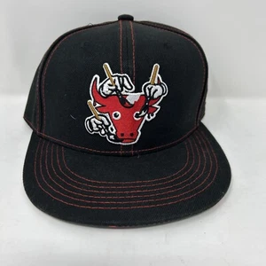 Chicago Bulls BMO Artist Series Steve Seeley Snapback Hat - Brand New - Picture 1 of 8