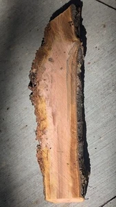  Wood Burl Slab  Rawcut Freshcut  Cherry Cookie For Woodcrafting D2 - Picture 1 of 5
