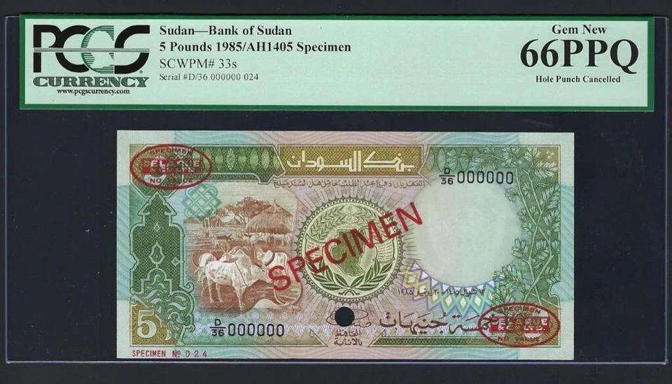 Sudan 5 Pounds 1985 P33s ** SPECIMEN ** TDLR UNC PCGS 66 - Image 1 of 1