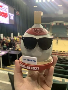 Cleveland Rocks Cleveland Charge Pet Rock SGA 2/23/24 * Not A Bobblehead * - Picture 1 of 2
