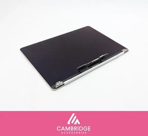 MacBook Pro A2251 A1989 A2159 A2289 Silber LCD Screen Assembly Cracked Bezel - Bild 1 von 12