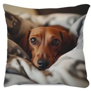 NUEVA 18"x18" Dachshund Perro Funda Almohada Doble Cara Amante de Mascotas Decoración del Hogar - Imagen 1 de 2