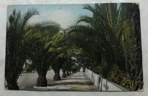 Residence Street in Kalifornien. Palmen Postkarte (Y2) - Bild 1 von 2