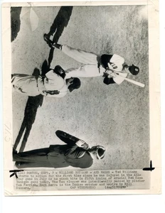 Original September 8 1950 Ted Williams 8 X 10 Wire Photo - Picture 1 of 2