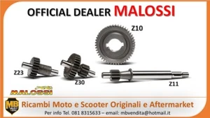 KIT RAPPORTI INGRANAGGI PRIMARI MALOSSI HTQ 13:1 PIAGGIO SI 50 2T CON VARIATORE - Imagen 1 de 1