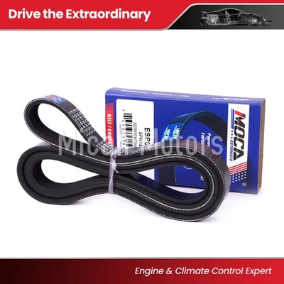 Serpentine Belt Fit Chevy Tracker Suzuki Esteem Vitara Volkswagen Beetle Jetta Foto 1 de 4